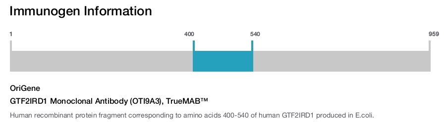 GTF2IRD1 Monoclonal Antibody (OTI9A3), TrueMAB&trade;