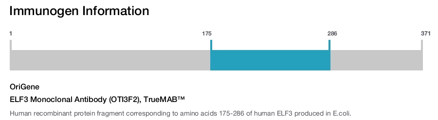 ELF3 Monoclonal Antibody (OTI3F2), TrueMAB&trade;