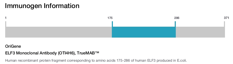 ELF3 Monoclonal Antibody (OTI4H6), TrueMAB&trade;