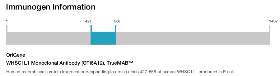 WHSC1L1 Monoclonal Antibody (OTI6A12), TrueMAB&trade;