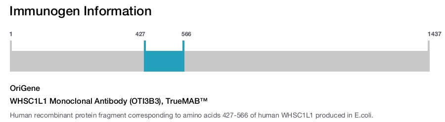 WHSC1L1 Monoclonal Antibody (OTI3B3), TrueMAB™
