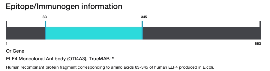 ELF4 Monoclonal Antibody (OTI4A3), TrueMAB&trade;