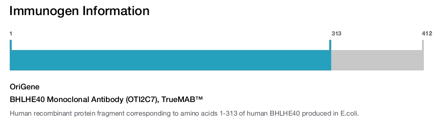 BHLHE40 Monoclonal Antibody (OTI2C7), TrueMAB&trade;