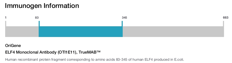 ELF4 Monoclonal Antibody (OTI1E11), TrueMAB&trade;