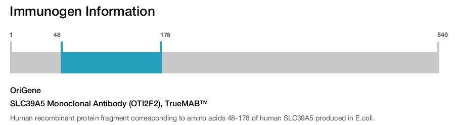 SLC39A5 Monoclonal Antibody (OTI2F2), TrueMAB&trade;