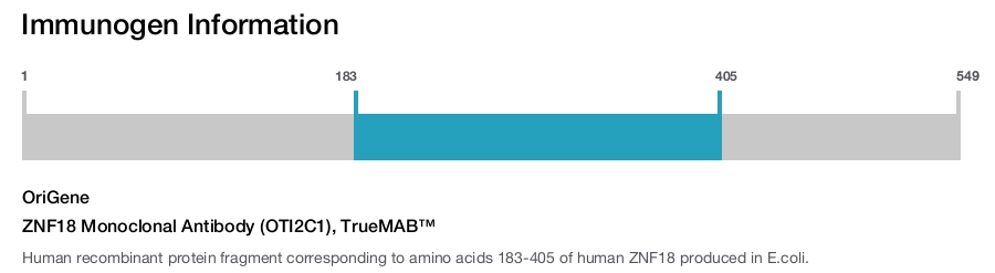 ZNF18 Monoclonal Antibody (OTI2C1), TrueMAB&trade;