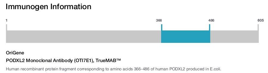 PODXL2 Monoclonal Antibody (OTI7E1), TrueMAB&trade;