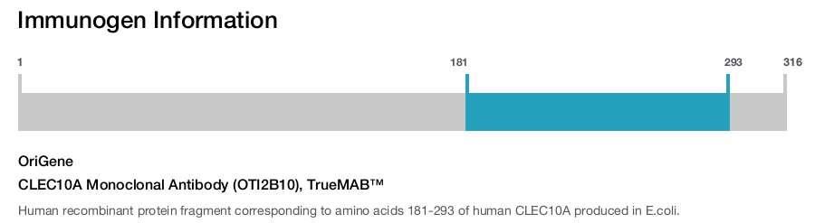 CLEC10A Monoclonal Antibody (OTI2B10), TrueMAB&trade;