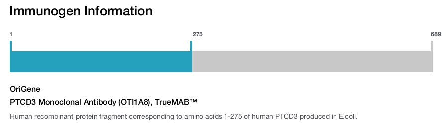 PTCD3 Monoclonal Antibody (OTI1A8), TrueMAB&trade;