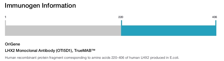 LHX2 Monoclonal Antibody (OTI5D1), TrueMAB&trade;