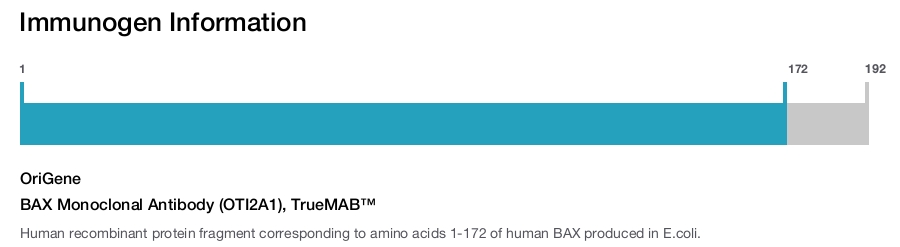 BAX Monoclonal Antibody (OTI2A1), TrueMAB&trade;
