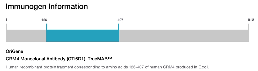 GRM4 Monoclonal Antibody (OTI6D1), TrueMAB&trade;