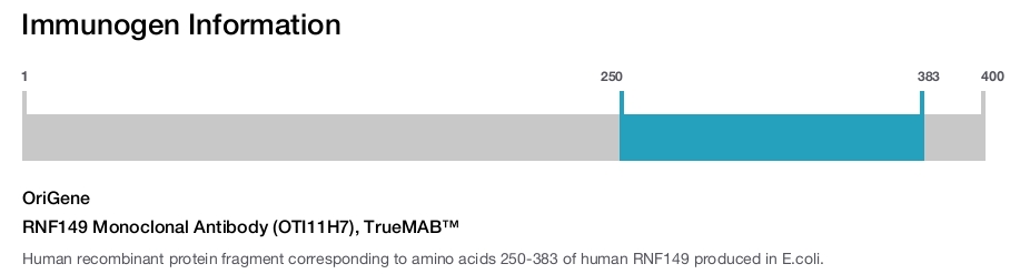 RNF149 Monoclonal Antibody (OTI11H7), TrueMAB&trade;