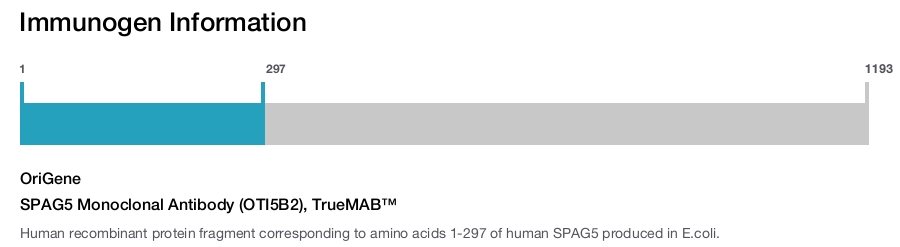 SPAG5 Monoclonal Antibody (OTI5B2), TrueMAB&trade;