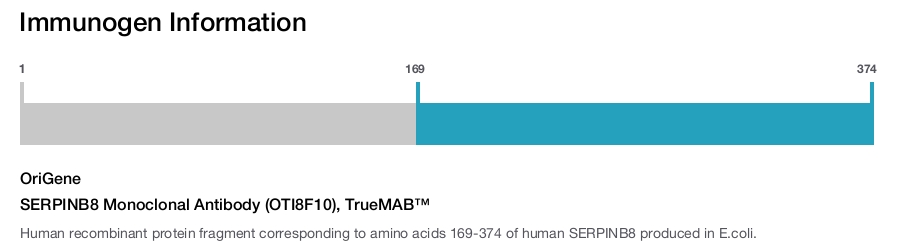 SERPINB8 Monoclonal Antibody (OTI8F10), TrueMAB&trade;