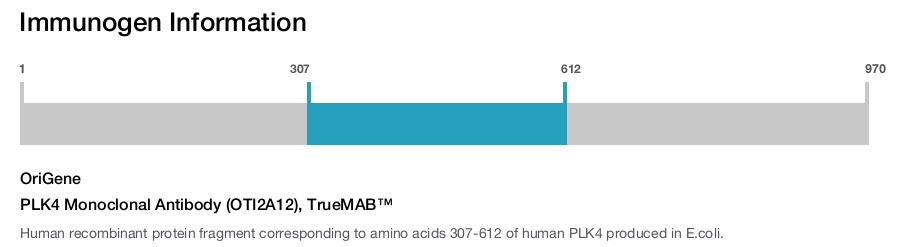 PLK4 Monoclonal Antibody (OTI2A12), TrueMAB&trade;