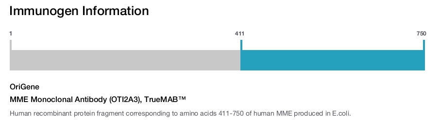 MME Monoclonal Antibody (OTI2A3), TrueMAB&trade;