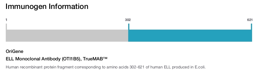 ELL Monoclonal Antibody (OTI1B5), TrueMAB&trade;