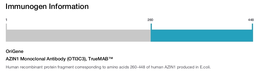 AZIN1 Monoclonal Antibody (OTI3C3), TrueMAB&trade;