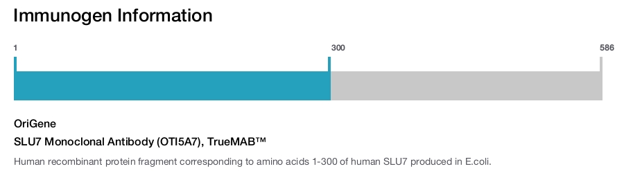 SLU7 Monoclonal Antibody (OTI5A7), TrueMAB&trade;