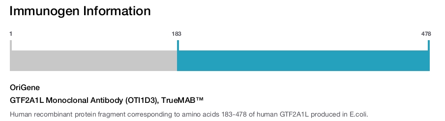 GTF2A1L Monoclonal Antibody (OTI1D3), TrueMAB&trade;