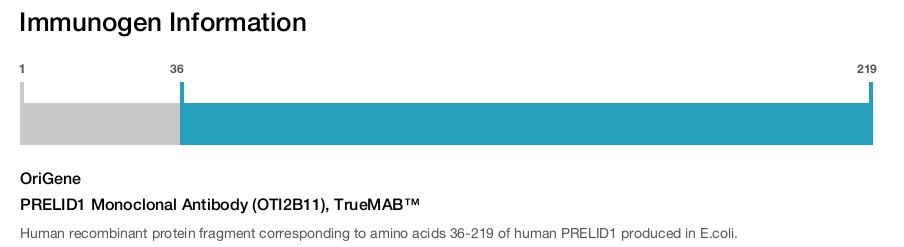 PRELID1 Monoclonal Antibody (OTI2B11), TrueMAB&trade;