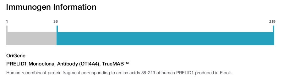 PRELID1 Monoclonal Antibody (OTI4A4), TrueMAB&trade;