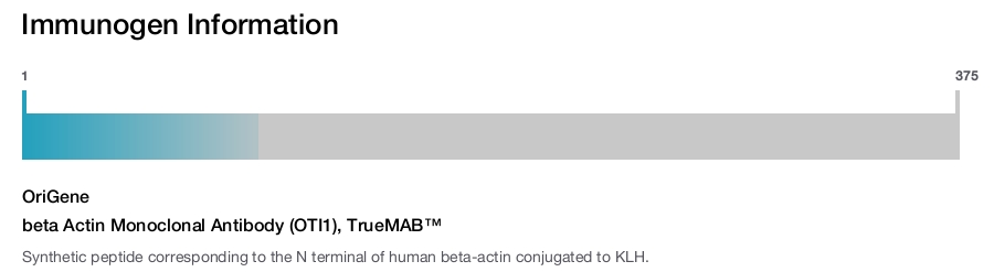 beta Actin Monoclonal Antibody (OTI1), TrueMAB&trade;