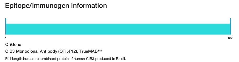 CIB3 Monoclonal Antibody (OTI5F12), TrueMAB&trade;