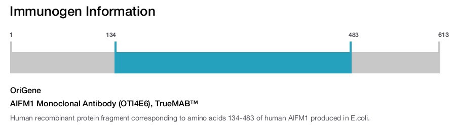 AIFM1 Monoclonal Antibody (OTI4E6), TrueMAB™