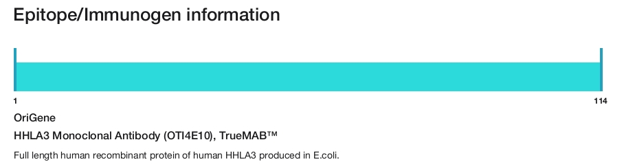 HHLA3 Monoclonal Antibody (OTI4E10), TrueMAB&trade;