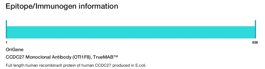CCDC27 Monoclonal Antibody (OTI1F8), TrueMAB&trade;