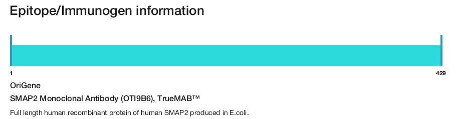 SMAP2 Monoclonal Antibody (OTI9B6), TrueMAB&trade;