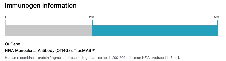 NFIA Monoclonal Antibody (OTI4G8), TrueMAB&trade;