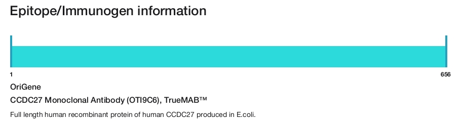 CCDC27 Monoclonal Antibody (OTI9C6), TrueMAB&trade;