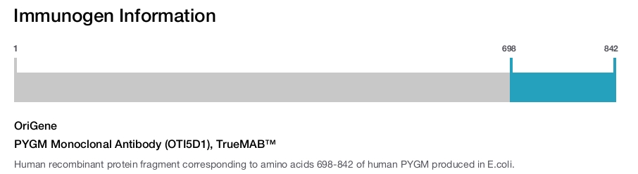 PYGM Monoclonal Antibody (OTI5D1), TrueMAB&trade;