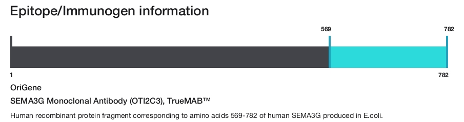 SEMA3G Monoclonal Antibody (OTI2C3), TrueMAB&trade;