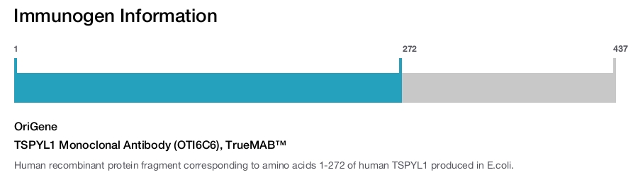 TSPYL1 Monoclonal Antibody (OTI6C6), TrueMAB&trade;