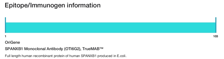SPANXB1 Monoclonal Antibody (OTI6G2), TrueMAB&trade;