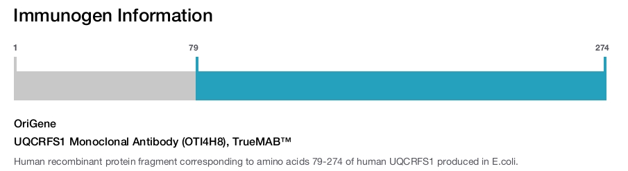 UQCRFS1 Monoclonal Antibody (OTI4H8), TrueMAB&trade;