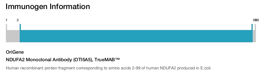 NDUFA2 Monoclonal Antibody (OTI5A5), TrueMAB&trade;