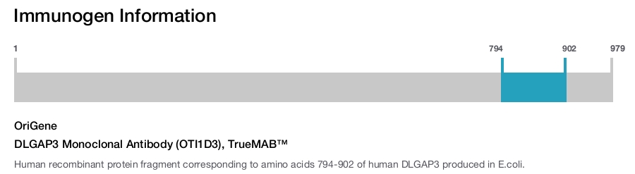 DLGAP3 Monoclonal Antibody (OTI1D3), TrueMAB&trade;