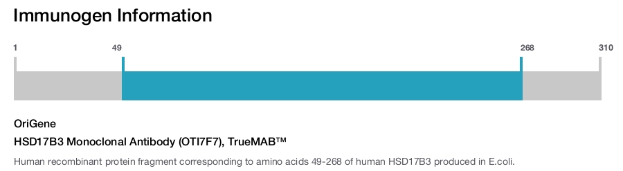 HSD17B3 Monoclonal Antibody (OTI7F7), TrueMAB&trade;