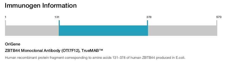 ZBTB44 Monoclonal Antibody (OTI7F12), TrueMAB&trade;
