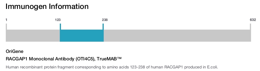 RACGAP1 Monoclonal Antibody (OTI4C5), TrueMAB&trade;