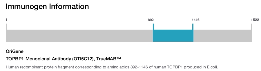 TOPBP1 Monoclonal Antibody (OTI5C12), TrueMAB&trade;