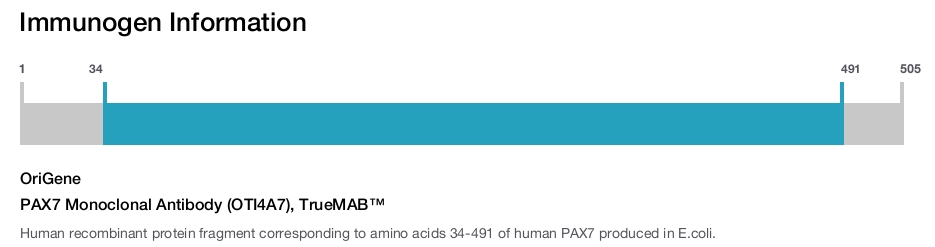 PAX7 Monoclonal Antibody (OTI4A7), TrueMAB&trade;