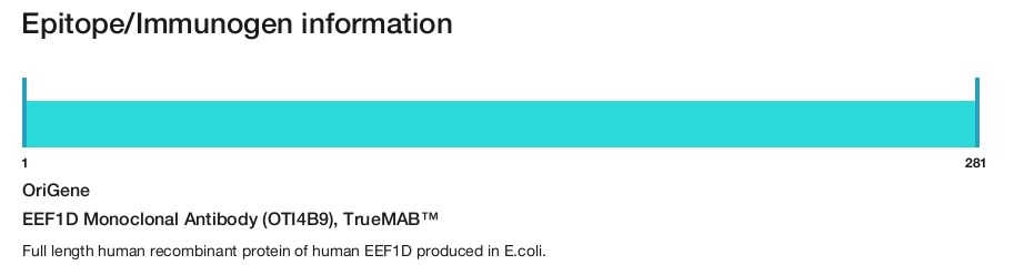 EEF1D Monoclonal Antibody (OTI4B9), TrueMAB&trade;