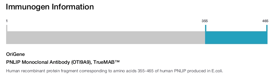 PNLIP Monoclonal Antibody (OTI9A9), TrueMAB&trade;