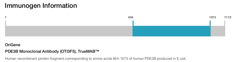 PDE3B Monoclonal Antibody (OTI3F5), TrueMAB&trade;